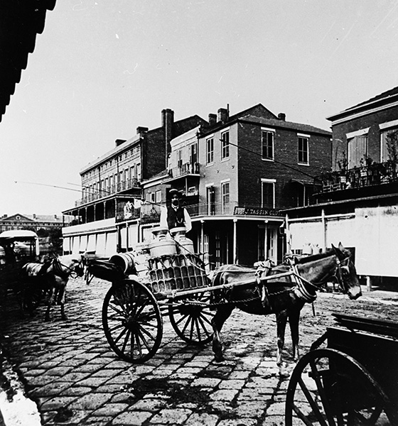 French Market Horse and Buggy making a Milk delivery